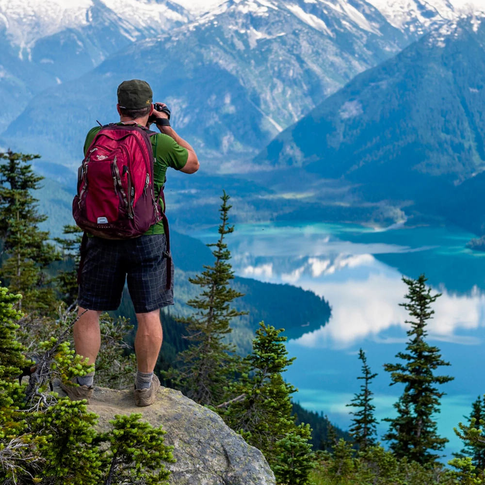 ESG in Timber Industries