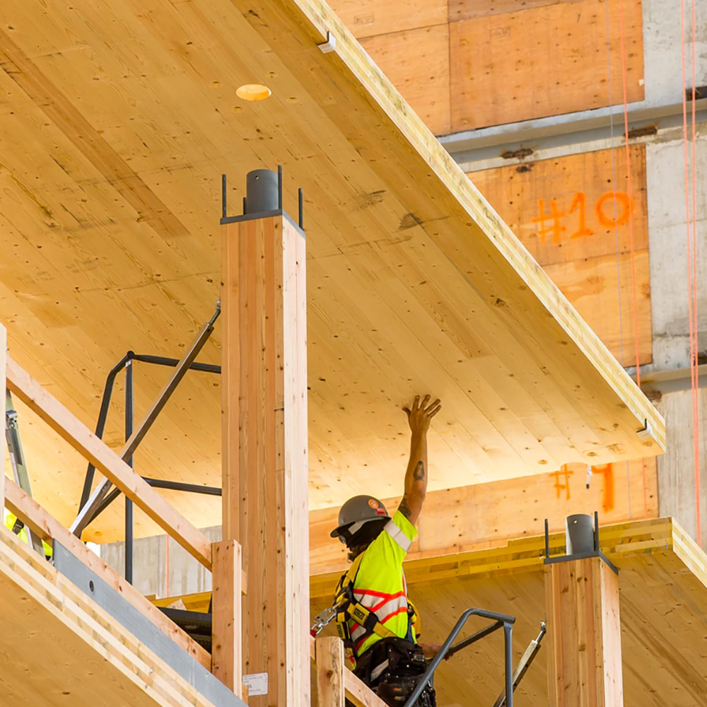 ESG in Timber Industries